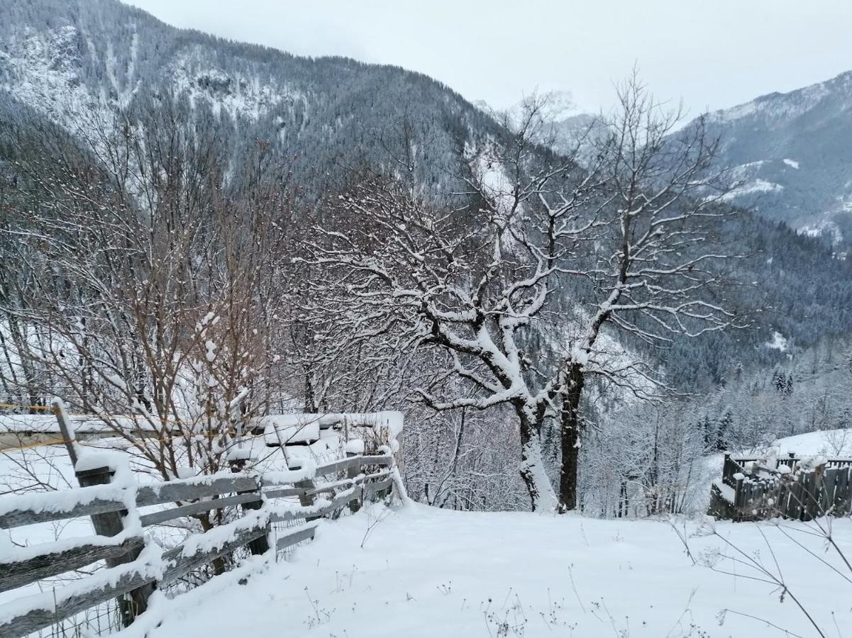 Appartamento Alto Cordevole 콜레 산타 루치아 외부 사진